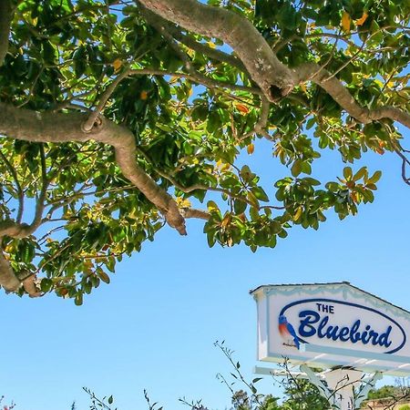 Bluebird Inn Cambria Luaran gambar