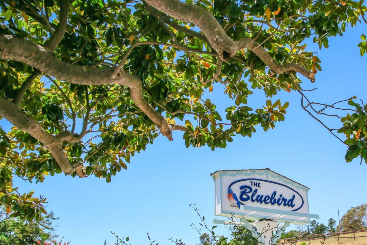 Bluebird Inn Cambria Luaran gambar
